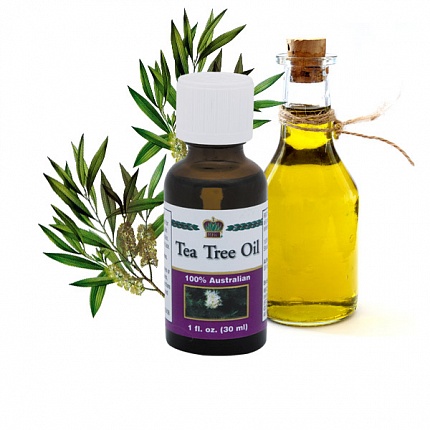 Tea Tree Oil
